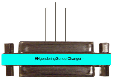 CEO Gender Changer