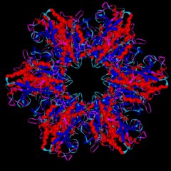 Protein structure visualization