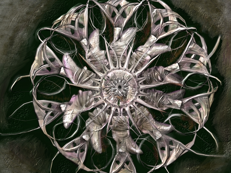spiralflower
