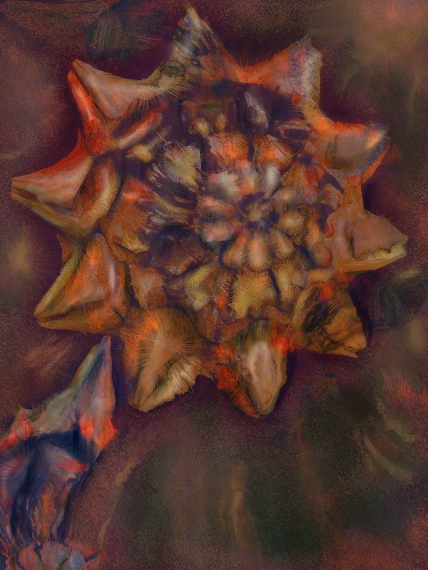 orangeflower