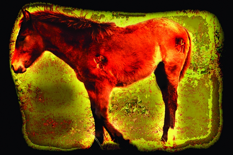 cuzco mural