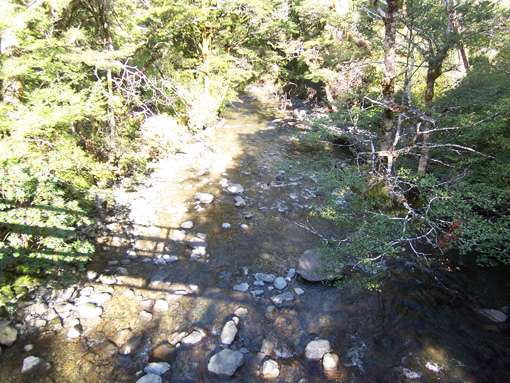 Picture-038