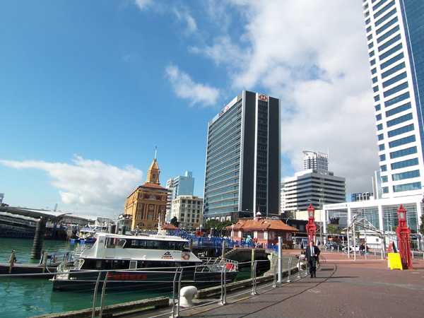 Picture-003