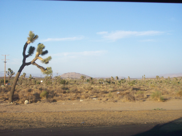 Picture-016d