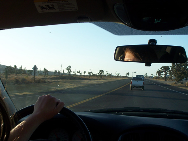 Picture-017a