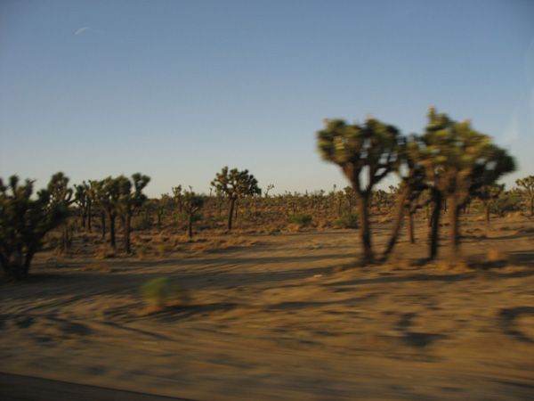 Picture-018