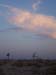 Picture-018d