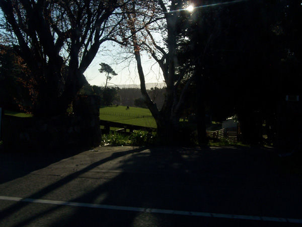 Picture-019A