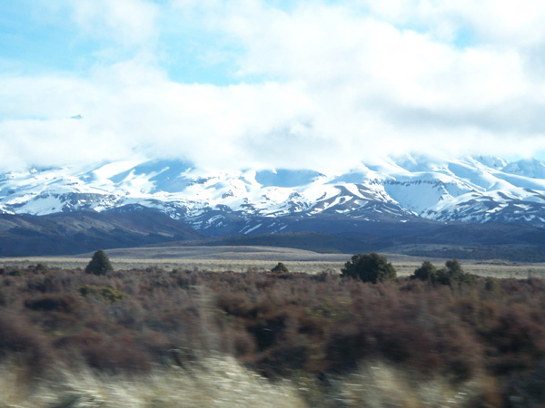 Picture-144A