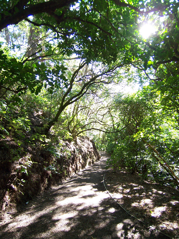 Picture-025