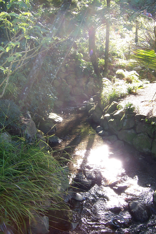 Picture-129