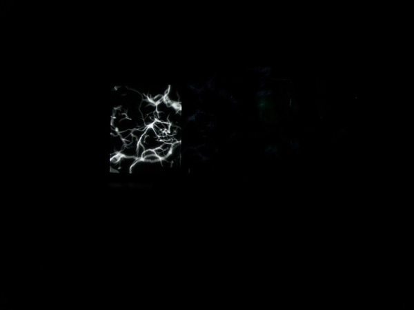 100_4029