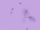 photo8