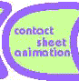 contact sheet animations