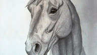 Horse thumb