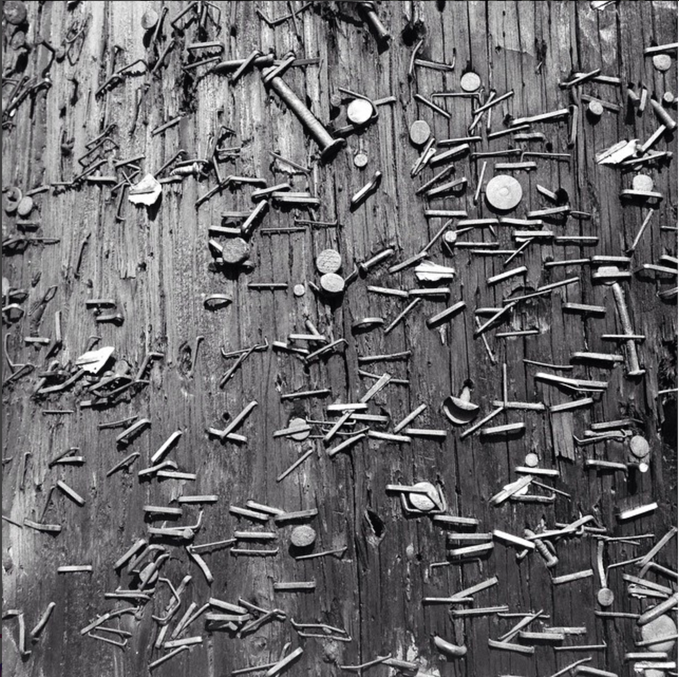 telephone pole with nails